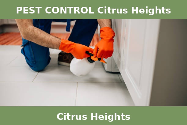 PEST CONTROL Citrus Heights